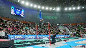grand prix della ginnastica 0413 sfe07804 copia simone ferraro ph